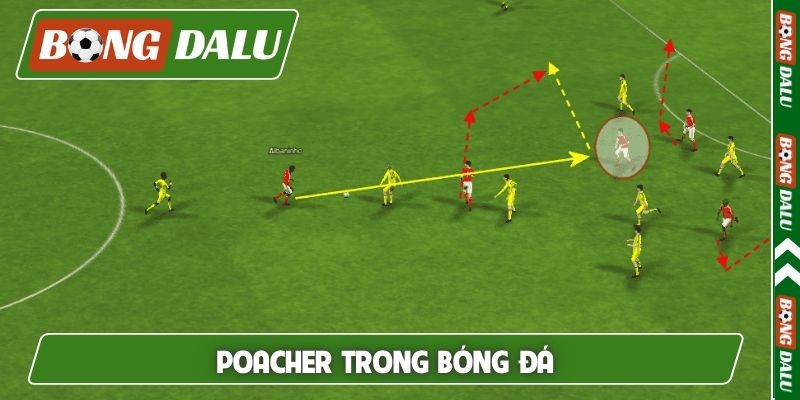 Poacher trong bóng đá